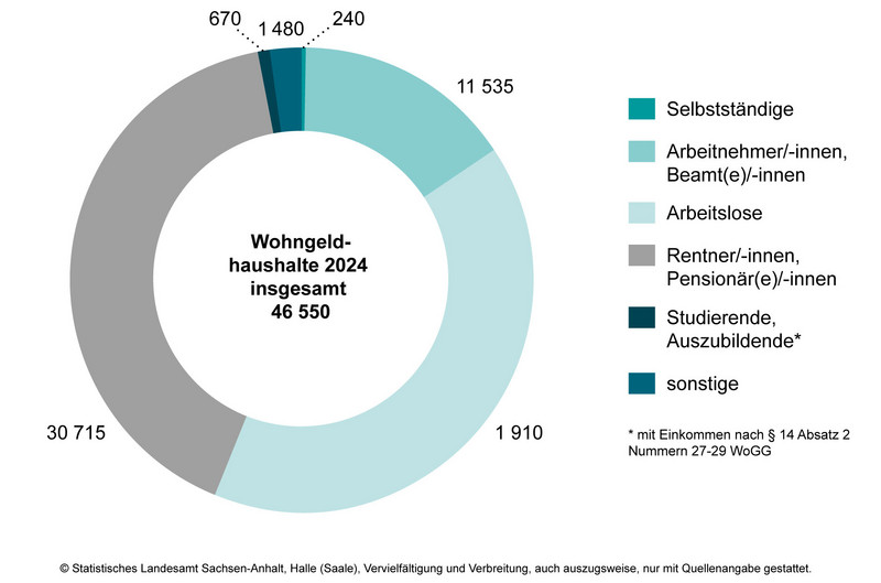Wohngeldhaushalte am 31.12.2024 nach sozialer Stellung des Haupteinkommensbeziehers bzw. der Haupteinkommensbezieherin Wohngeldhaushalte am 31.12.2024 nach sozialer Stellung des Haupteinkommensbeziehers bzw. der Haupteinkommensbezieherin