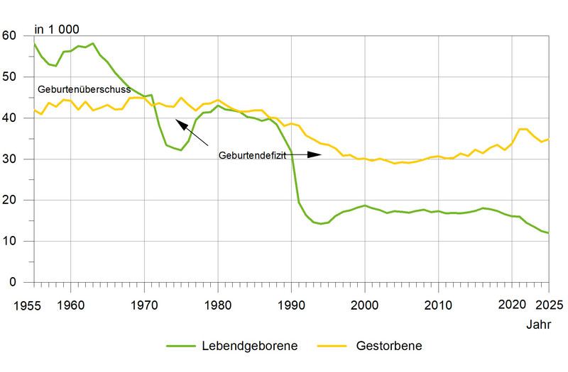 Lebendgeborene und Gestorbene seit 1955