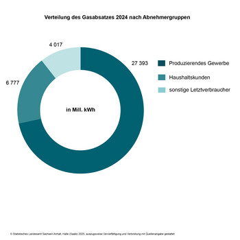 Ringdiagramm Gasabsatz 2024 nach Abnehmergruppen