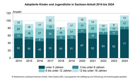 Gestapeltes Säulendiagramm zu den adoptierten Kindern und Jugendlichen in Sachsen-Anhalt 2014 bis 2024